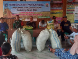 Babinsa Kodim 0812/Lamongan Hadiri Program Penyerahan Bibit Padi Non Hibrida