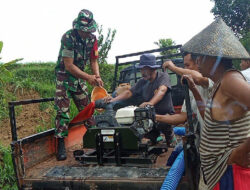 Pendampingan Pompanisasi Babinsa Koramil Sine Kepada Petani Binaan