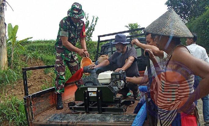 Pendampingan Pompanisasi Babinsa Koramil Sine Kepada Petani Binaan