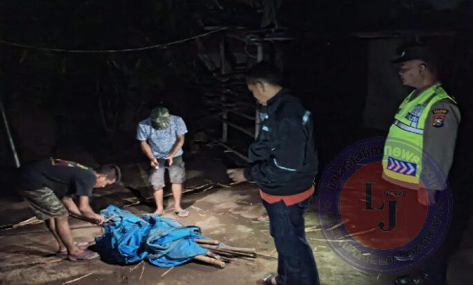 Polres Nganjuk Bongkar Tempat Judi Sabung Ayam di Kecamatan Ngronggot