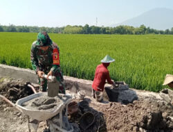 Babinsa Koramil Kedunggalar Bantu Warga Bangun Talud Jalan Persawahan