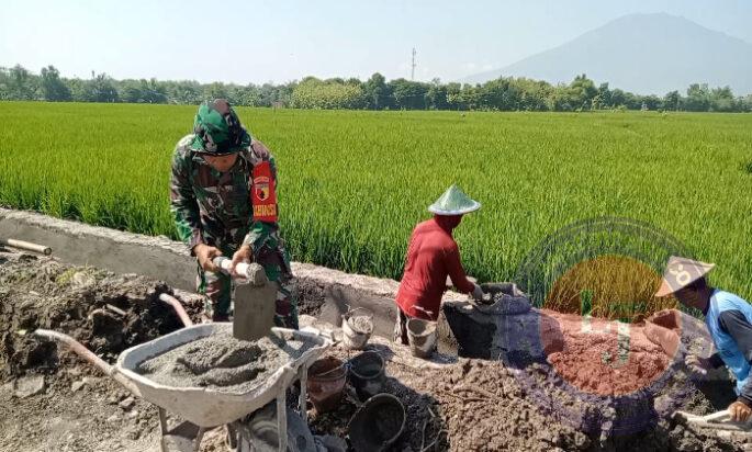 Babinsa Koramil Kedunggalar Bantu Warga Bangun Talud Jalan Persawahan