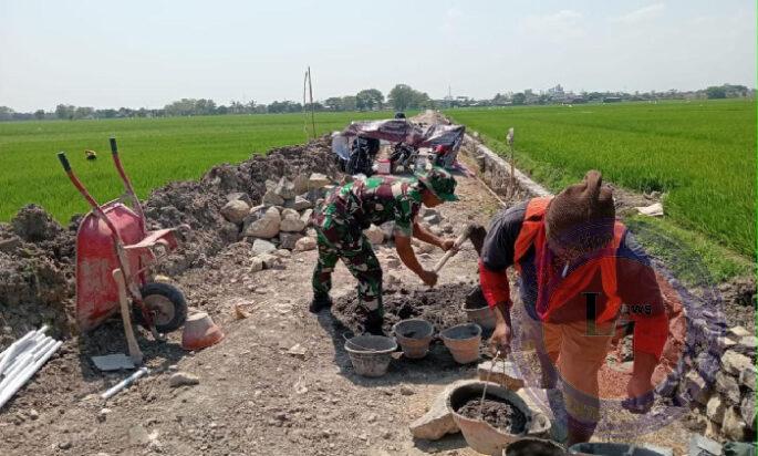 Babinsa Bantu Bangun Talud Irigasi, Wujudkan Ketahanan Pangan