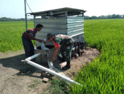 Motivasi Petani, Babinsa Kodim 0802/Ponorogo Bantu Petani Rawat Tanaman Padi