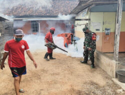 Cegah wabah DBD, Babinsa Koramil 0801/01 Pacitan dampingi fogging