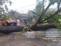 Pohon Tumbang Menutup Jalan, Anggota Kodim 0802/Ponorogo Sigap Atasi