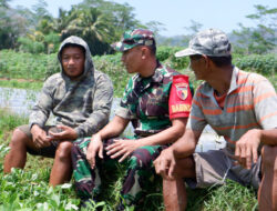 Tingkatkan Hanpangan, Babinsa Koramil 0801/03 Arjosari Melaksanakan Perawatan Pada Tanaman Kacang Tanah