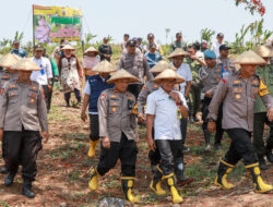 Wujudkan Swasembada Pangan, Polres Jombang Tanam Jagung di Lahan Kosong