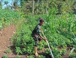 Wujud Kepedulian, Babinsa Koramil 0801/12 Pringkuku Bantu Pasang Pipanisasi