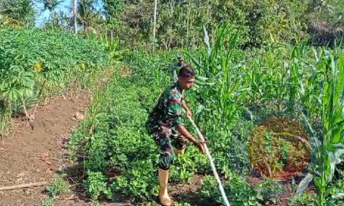 Wujud Kepedulian, Babinsa Koramil 0801/12 Pringkuku Bantu Pasang Pipanisasi