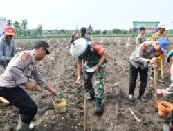 Dukung Percepatan Swasembada Pangan, Dandim 0802/Ponorogo Ikut Penanaman Benih Jagung dan Penaburan Benih Ikan Lele