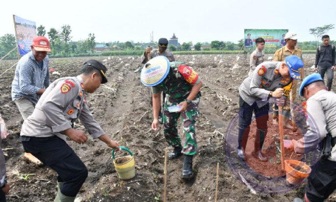 Dukung Percepatan Swasembada Pangan, Dandim 0802/Ponorogo Ikut Penanaman Benih Jagung dan Penaburan Benih Ikan Lele