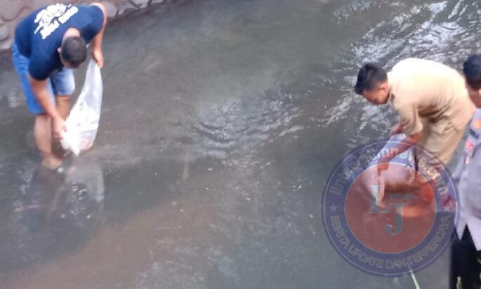 Polisi Bersama Perangkat Desa Tebar 10.000 Bibit Ikan di Bondowoso, Wujudkan Ketahanan Pangan