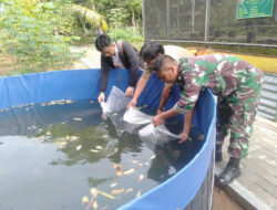 Tingkatkan Hanpangan Dari Sektor Perikanan, Kodim 0801/Pacitan Tabur Benih Lele