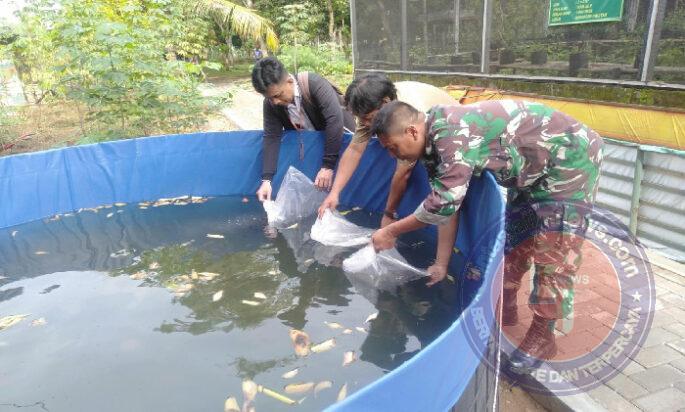 Tingkatkan Hanpangan Dari Sektor Perikanan, Kodim 0801/Pacitan Tabur Benih Lele