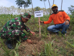 Danramil Tanam Pohon Sukun Serentak di Kawedanan: Wujud Peduli Lingkungan dan Ketahanan Pangan