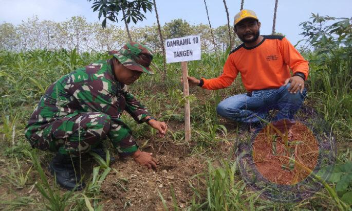 Danramil Tanam Pohon Sukun Serentak di Kawedanan: Wujud Peduli Lingkungan dan Ketahanan Pangan