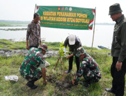 Lestarikan Lingkungan Hidup Kodim Boyolali Tanam Pohon di Tanggul Waduk Cengklik