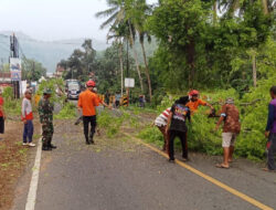 Kolaborasi TNI, Polri, BPBD dan Warga Trenggalek: Langkah Nyata Wujudkan Keselamatan Jalan Raya