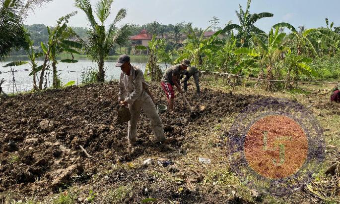 Dukung Ketahanan Pangan, Brimob Polri Siapkan 5 Ha Lahan untuk Tanam Jagung Bareng Warga Karawang Timur