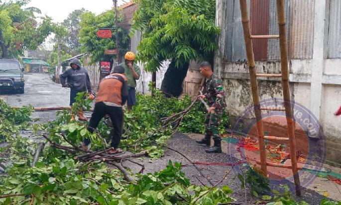 Sigap Dan Gerak Cepat, Babinsa Laweyan Bersama Damkar dan BPBD, Serta Warga Gotong Royong Evakuasi Pohon Tumbang di Wilayah Binaan