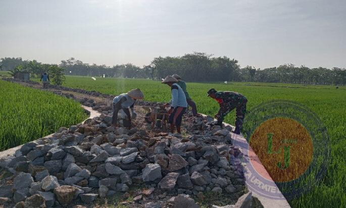 Babinsa Pos Koramil Gerih Bersama Warga Kerja Bakti Perbaiki Jalan Area Persawahan