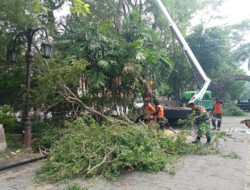 Babinsa Purwosari Bersama DLH Laksanakan Pemangkasan Cabang Pohon yang Rapuh, Ini Tujuannya