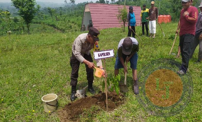 Sinergitas TNI-Polri Hijaukan Lumajang, 2000 Pohon Ditanam di Buper Glagah Arum