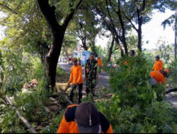 Bersama Relawan, Anggota Koramil 01/Ngawi Tebang Pohon yang Membahayakan Pengguna Jalan