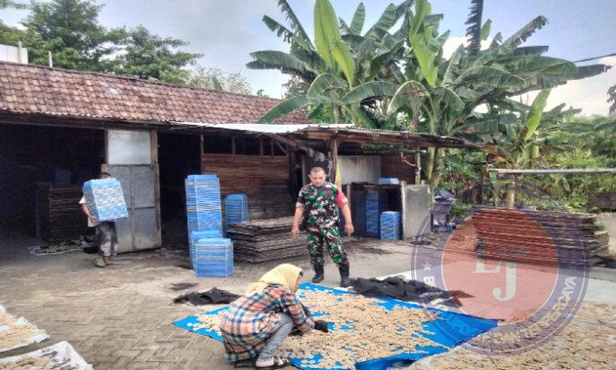 Tingkatkan UMKM di Wilayah, Babinsa Karangjati Dampingi Pembuatan Kerupuk Warganya