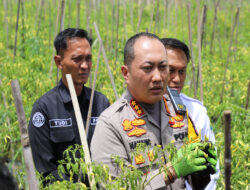 Upaya Polresta Malang Kota bersama Pemkot Wujudkan Ketahanan Pangan di Tengah Keterbatasan Lahan