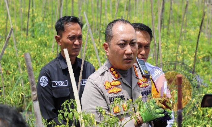 Upaya Polresta Malang Kota bersama Pemkot Wujudkan Ketahanan Pangan di Tengah Keterbatasan Lahan