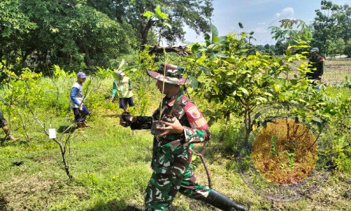 Hijaukan Lingkungan, Anggota Kodim 0802/Ponorogo Tanam Bibit Pohon