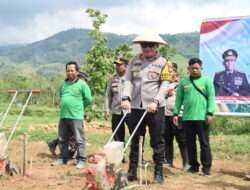 Manfaatkan Lahan Kritis, Polres Bondowoso Bersama Kodim 0822 Tanam Jagung Gelorakan Swasembada Pangan