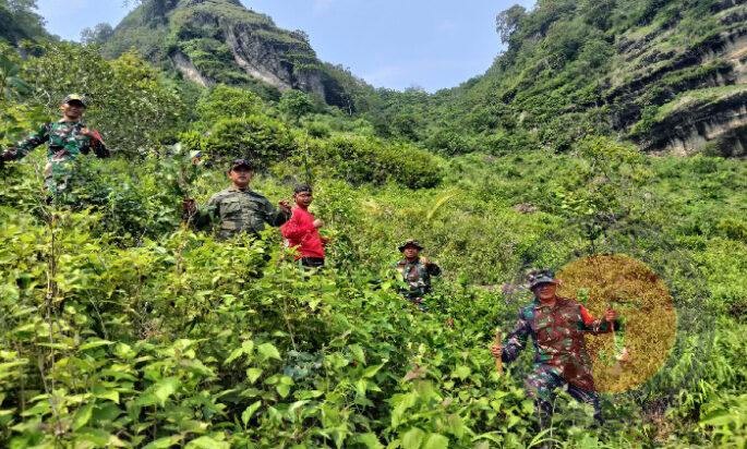 Menyatu dengan Alam, Kodim 0802/Ponorogo Bersama Unsur Terkait Lakukan Aksi Tanam dan Rawat