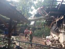 Babinsa Klego Dan Warga Evakuasi Pohon Tumbang Yang Timpa Rumah