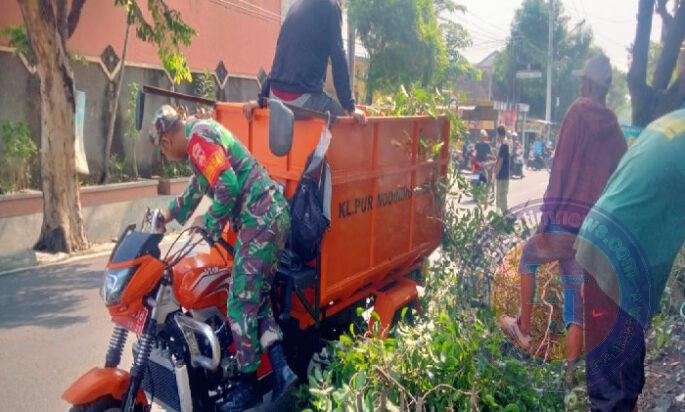 Babinsa Purwodiningratan Turun Tangan, Kerja Bakti Pemangkasan Pohon Wujudkan Lingkungan Bersih dan Nyaman