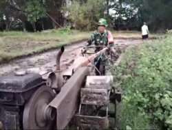 Peran Aktif Babinsa Koramil 0801/03 Arjosari Bantu Bajak Sawah Tingkatkan Hanpangan