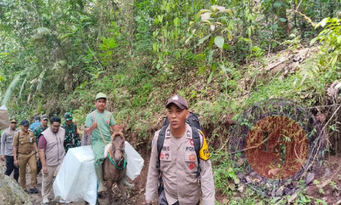 Penuh Perjuangan, Petugas Distribusikan Logistik Pilkada Menggunakan Kuda ke TPS Terpencil di Jember