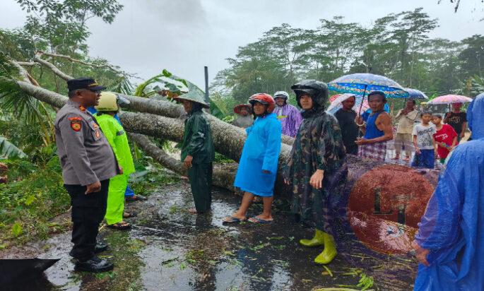 Aksi Cepat TNI-Polri dan BPBD Trenggalek: Pohon Tumbang Teratasi, Jalan Munjungan-Tawing Lancar!