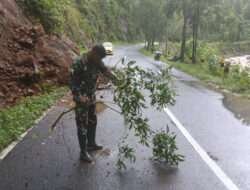 Gerak Cepat Babinsa Koramil 0801/04 Tegalombo Bantu Bersihkan Tanah Longsor