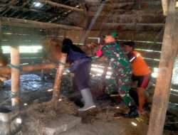 Peduli Wilayahnya, Babinsa Karangjati Dampingi Vaksinasi Hewan Ternak