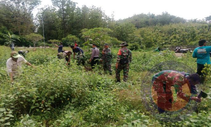 Sinergitas TNI-POLRI dan Masyarakat Ngawi dalam Upaya Pelestarian Alam dan Pengolahan Lahan Tidur