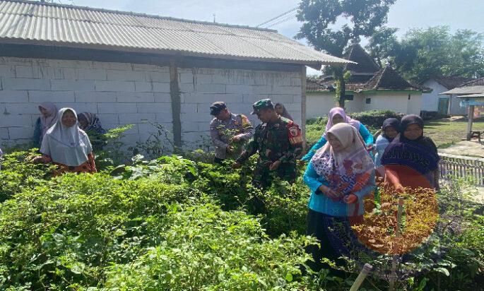 Pak Bhabin di Magetan Ajak Warga Manfaatkan Pekarangan Tanami Sumber Pangan Bergizi