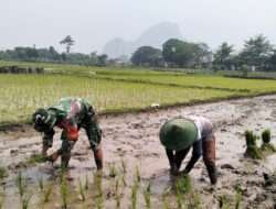 Cegah Keterlambatan Masa Tanam, Serda Yudi Bantu Petani di Desa Binananya
