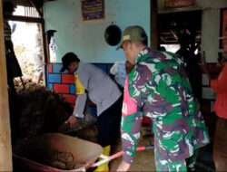 Bentuk Kepedulian, Babinsa Koramil 0801/08 Tulakan Gotong Royong Bersihkan Rumah Kena Longsor