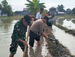 Sinergi TNI-Polri dan Warga: Gotong Royong Pulihkan Irigasi di Trenggalek