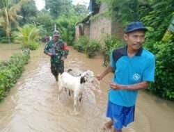 Sigap dan Tanggap! TNI Bantu Warga Terdampak Banjir di Trenggalek
