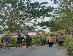 Wujud Kepedulian Lingkungan, Babinsa dan Bhabinkamtibmas Bantu Warga Tebang Pohon