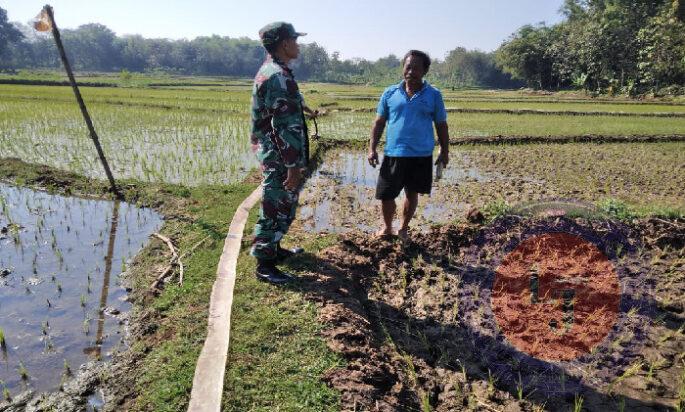 Babinsa Klego Ajak Petani Desa Karangmojo Untuk Percepat Masa Tanam